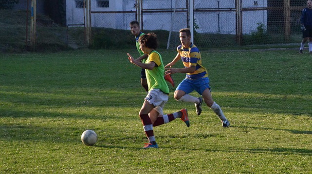 1arkaDSC 0141