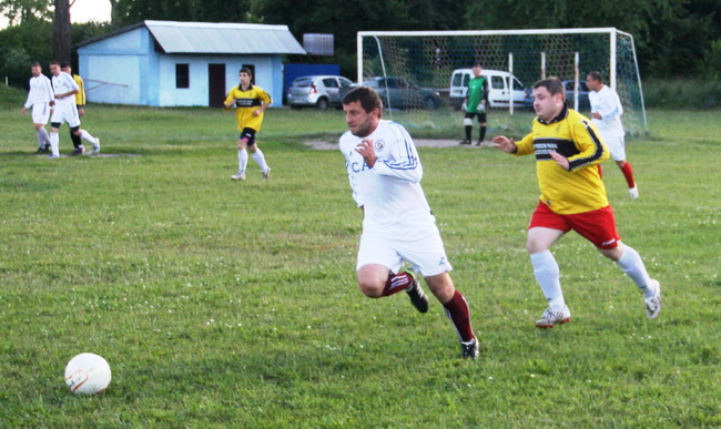 shelton2IMG 3104