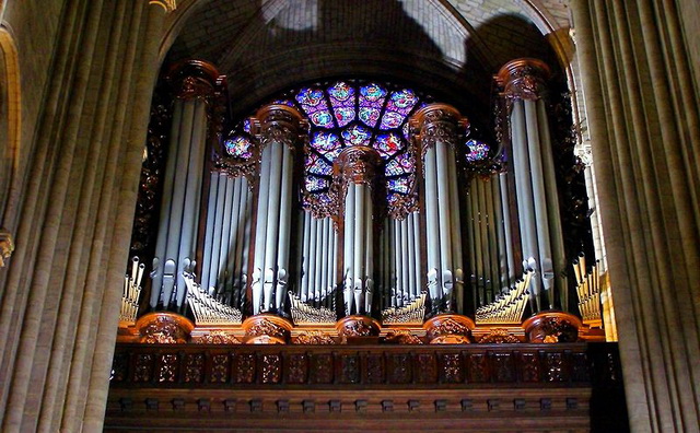 organ74673893