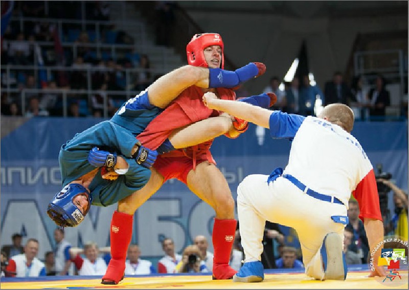 1sambo chemp.evropu 2013 onfc5c612183f9e2cad7df69df6155d427c 800