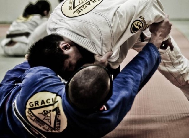 Gracie-Jiu-Jitsu-391-690x450