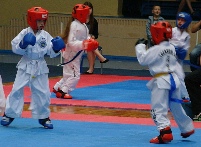 20052014taekwondoDSC09164