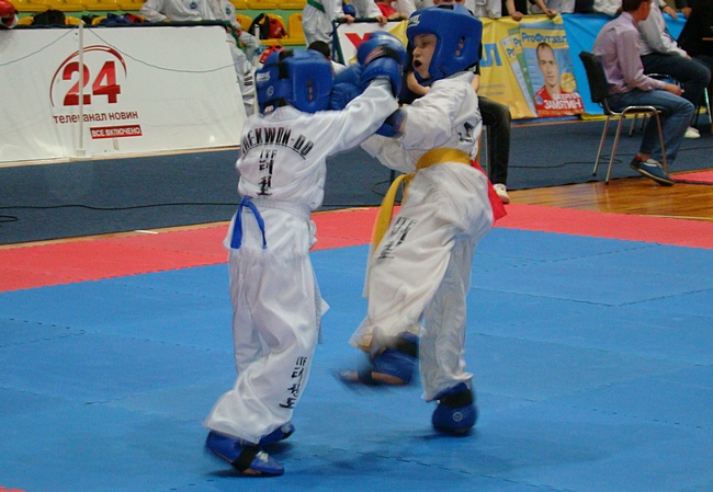 20052014taekwondoDSC09167