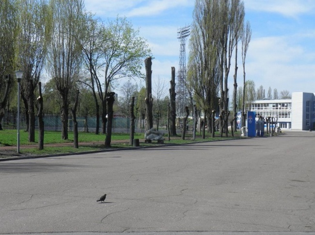 1335173398_stadion-cherkassy-2